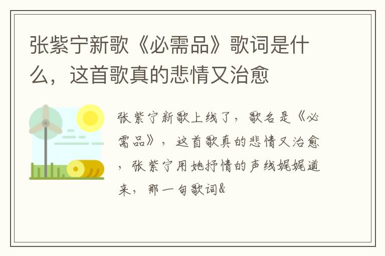 这首歌真的悲情又治愈 张紫宁新歌《必需品》歌词是什么
