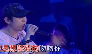 是一首什么样的歌曲 刀郎披着羊皮的狼原唱