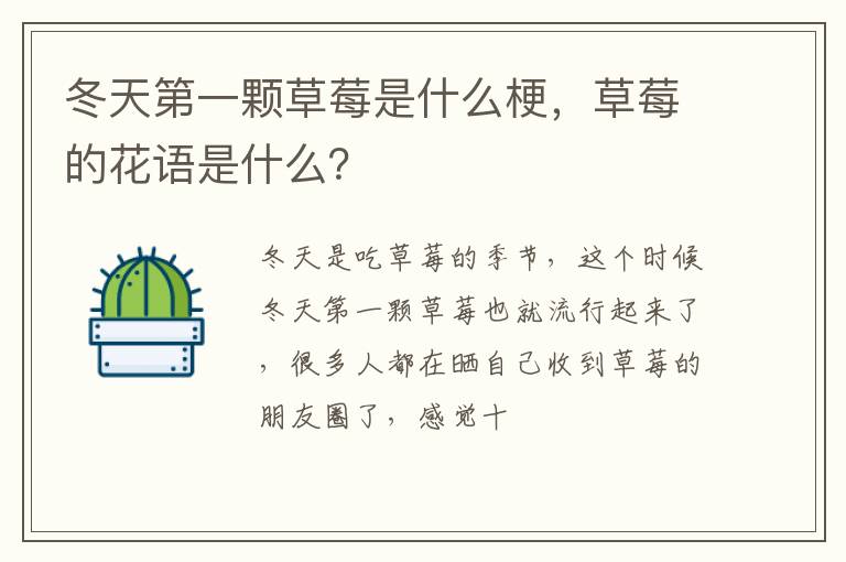 草莓的花语是什么 冬天第一颗草莓是什么梗