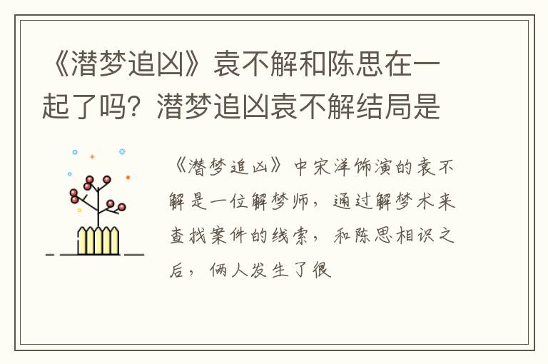 潜梦追凶袁不解结局是什么 《潜梦追凶》袁不解和陈思在一起了吗