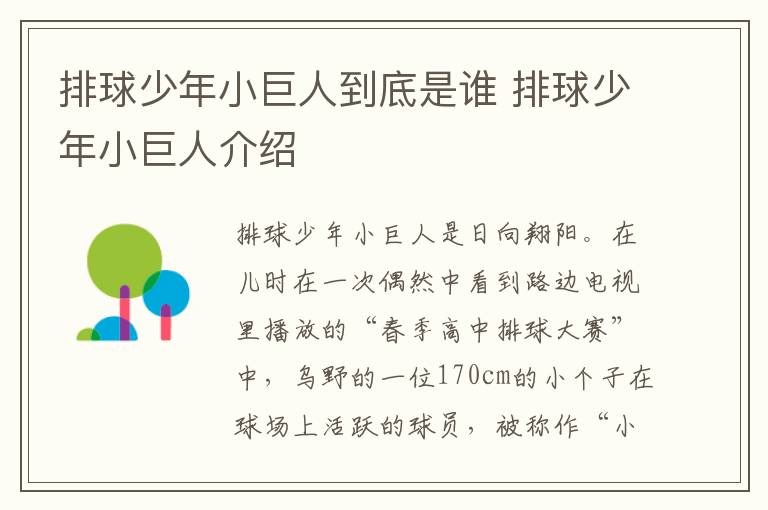 排球少年小巨人介绍 排球少年小巨人到底是谁