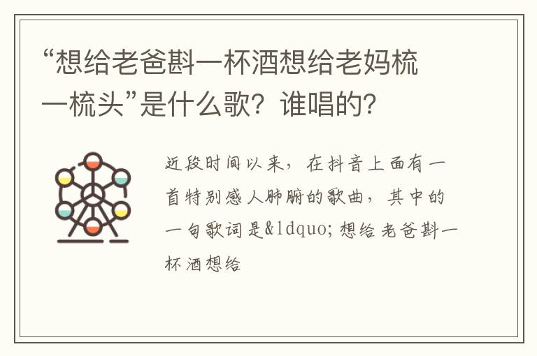 谁唱的 “想给老爸斟一杯酒想给老妈梳一梳头”是什么歌
