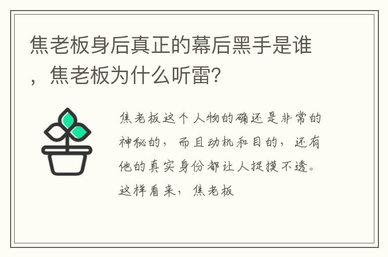 焦老板为什么听雷 焦老板身后真正的幕后黑手是谁