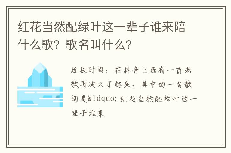 歌名叫什么 红花当然配绿叶这一辈子谁来陪什么歌