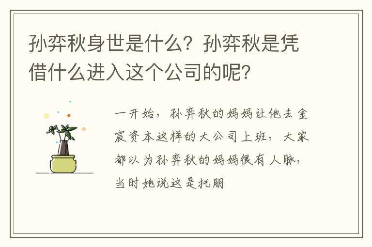 孙弈秋是凭借什么进入这个公司的呢 孙弈秋身世是什么
