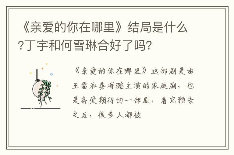 丁宇和何雪琳合好了吗 《亲爱的你在哪里》结局是什么