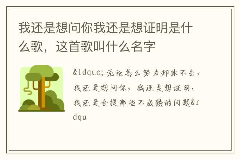这首歌叫什么名字 我还是想问你我还是想证明是什么歌