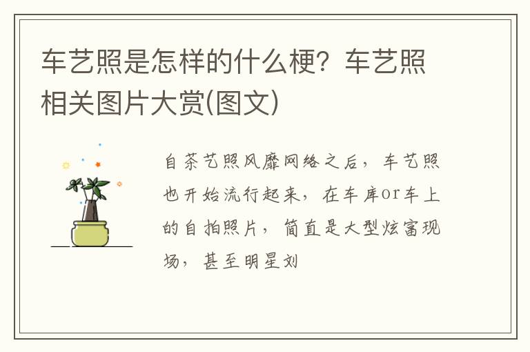 车艺照相关图片大赏 图文 车艺照是怎样的什么梗