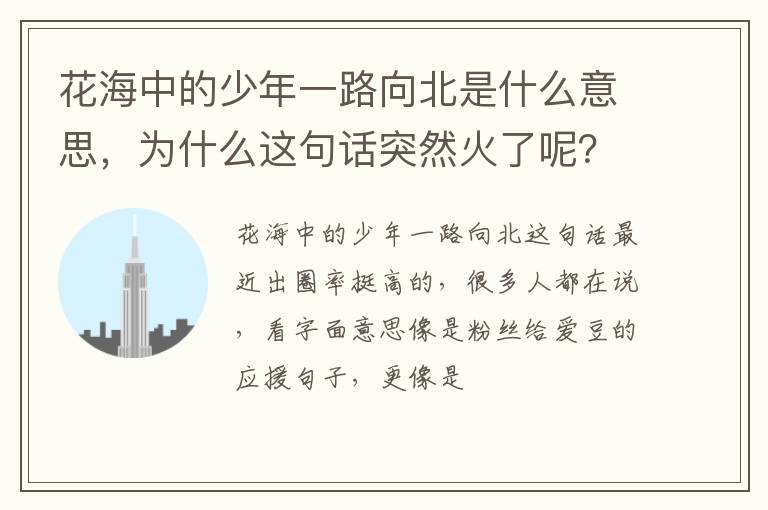为什么这句话突然火了呢 花海中的少年一路向北是什么意思
