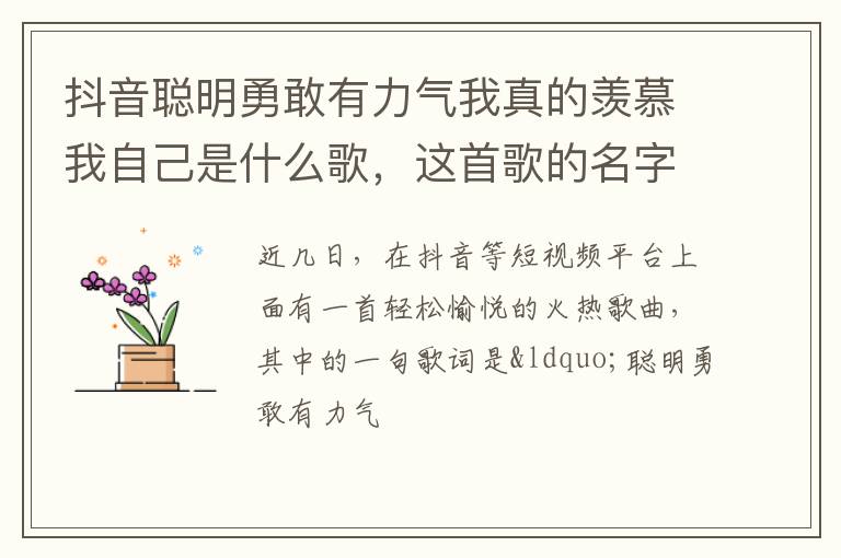 这首歌的名字叫什么 抖音聪明勇敢有力气我真的羡慕我自己是什么歌