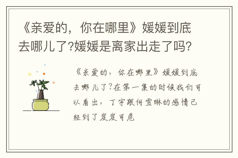 你在哪里》媛媛到底去哪儿了 媛媛是离家出走了吗 《亲爱的