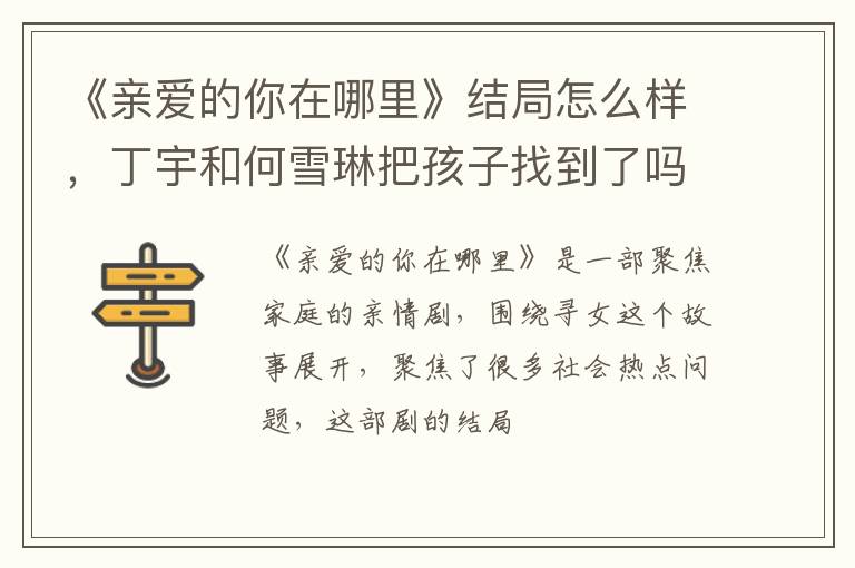 丁宇和何雪琳把孩子找到了吗 《亲爱的你在哪里》结局怎么样