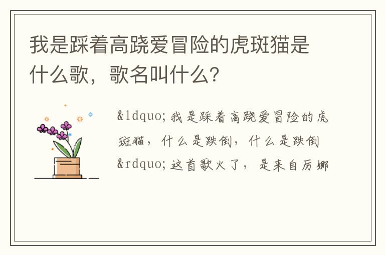 歌名叫什么 我是踩着高跷爱冒险的虎斑猫是什么歌