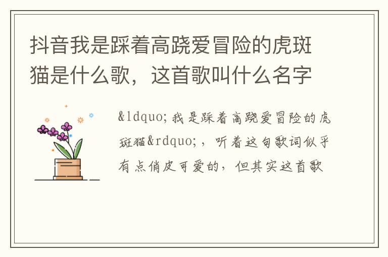 这首歌叫什么名字 抖音我是踩着高跷爱冒险的虎斑猫是什么歌