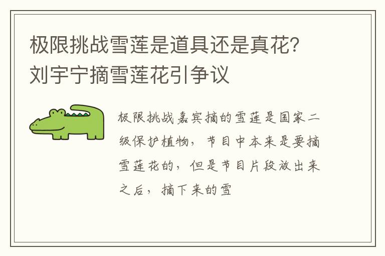 刘宇宁摘雪莲花引争议 极限挑战雪莲是道具还是真花