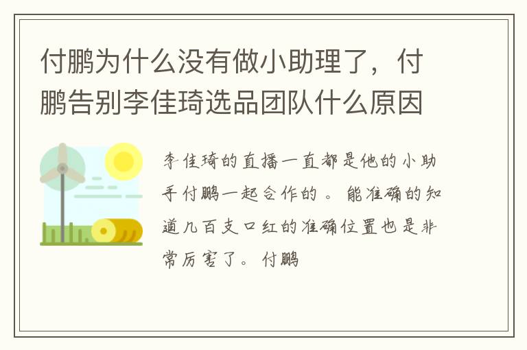付鹏告别李佳琦选品团队什么原因 付鹏为什么没有做小助理了