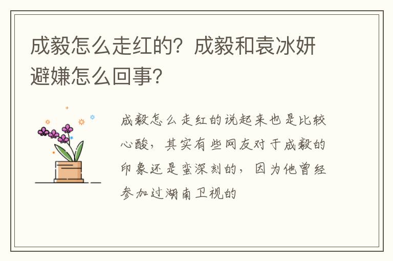 成毅和袁冰妍避嫌怎么回事 成毅怎么走红的