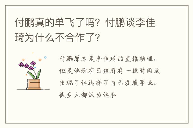 付鹏谈李佳琦为什么不合作了 付鹏真的单飞了吗
