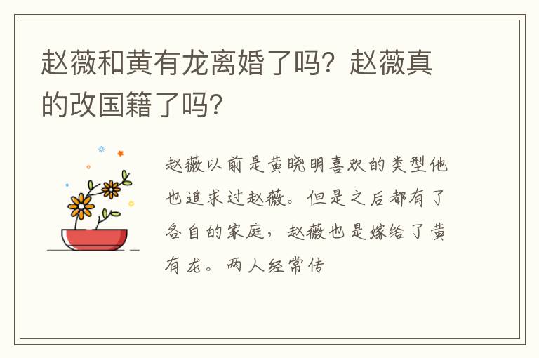 赵薇真的改国籍了吗 赵薇和黄有龙离婚了吗