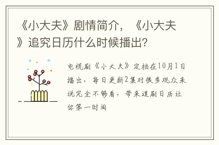 《小大夫》追究日历什么时候播出 《小大夫》剧情简介