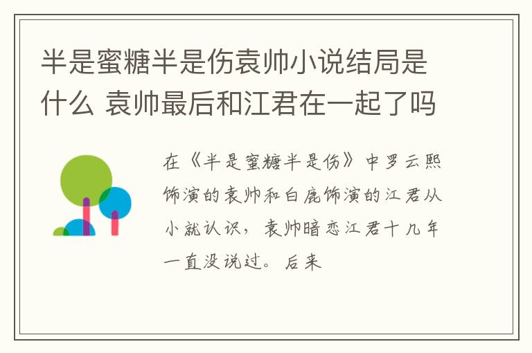 袁帅最后和江君在一起了吗 半是蜜糖半是伤袁帅小说结局是什么