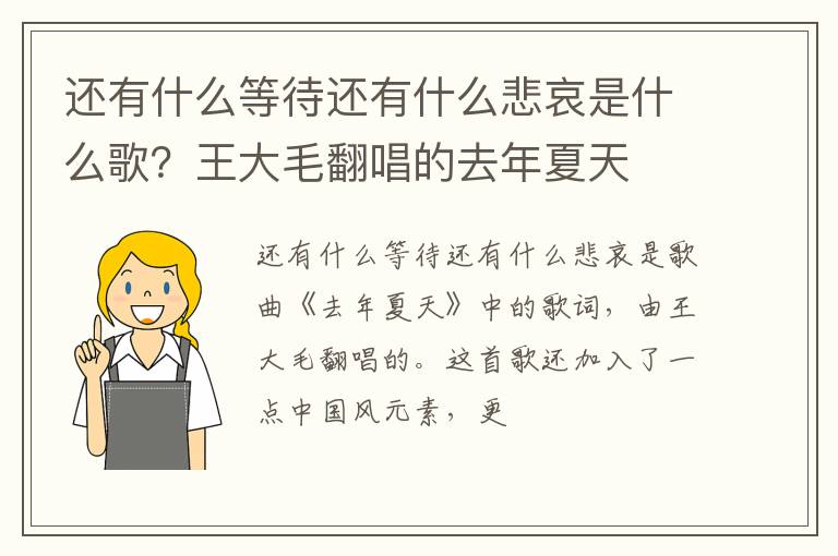 王大毛翻唱的去年夏天 还有什么等待还有什么悲哀是什么歌