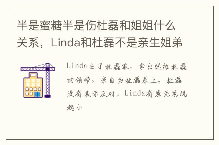 Linda和杜磊不是亲生姐弟吗 半是蜜糖半是伤杜磊和姐姐什么关系