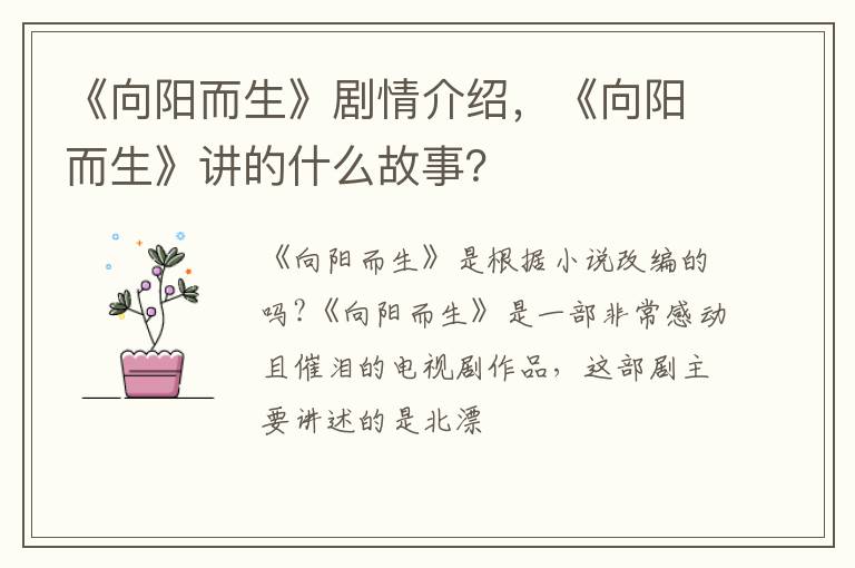 《向阳而生》讲的什么故事 《向阳而生》剧情介绍