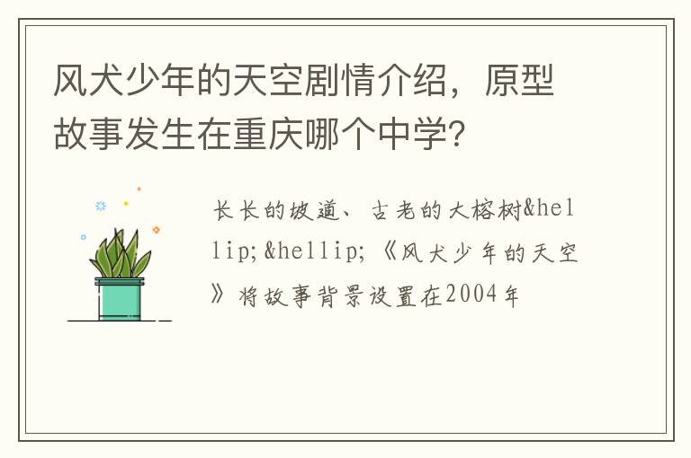 原型故事发生在重庆哪个中学 风犬少年的天空剧情介绍
