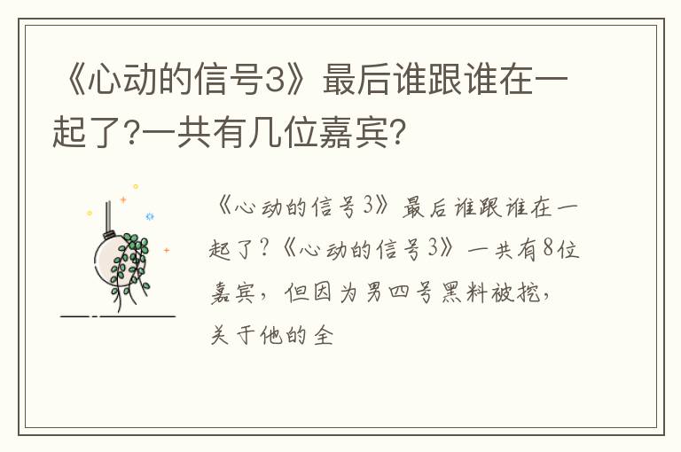 一共有几位嘉宾 《心动的信号3》最后谁跟谁在一起了