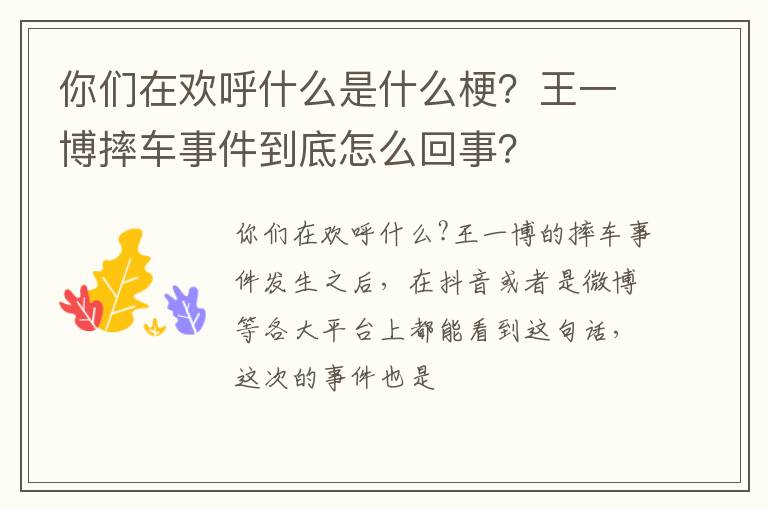 王一博摔车事件到底怎么回事 你们在欢呼什么是什么梗
