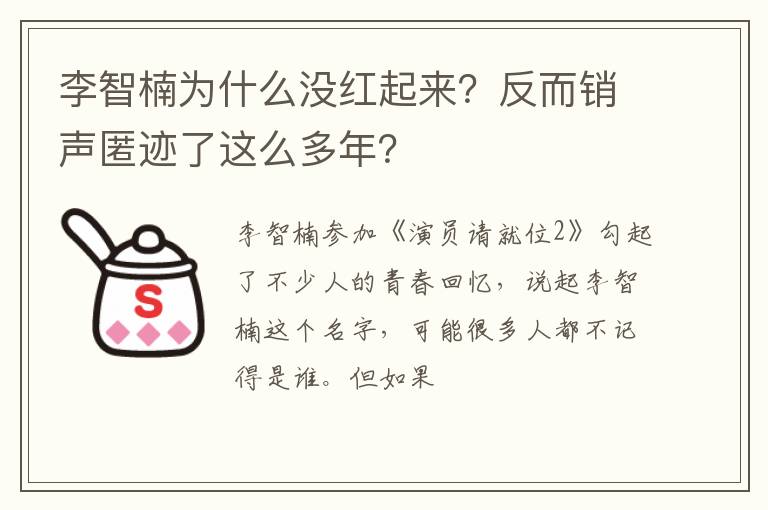 反而销声匿迹了这么多年 李智楠为什么没红起来