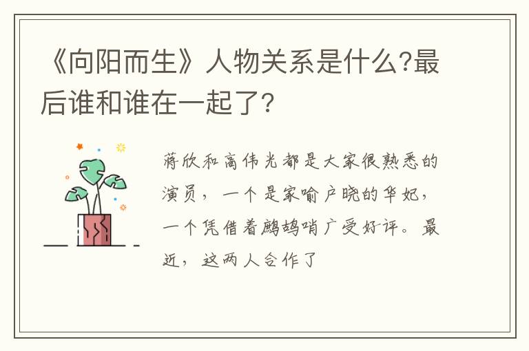 最后谁和谁在一起了 《向阳而生》人物关系是什么