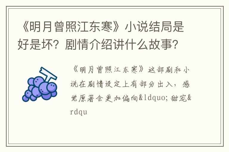 剧情介绍讲什么故事 《明月曾照江东寒》小说结局是好是坏