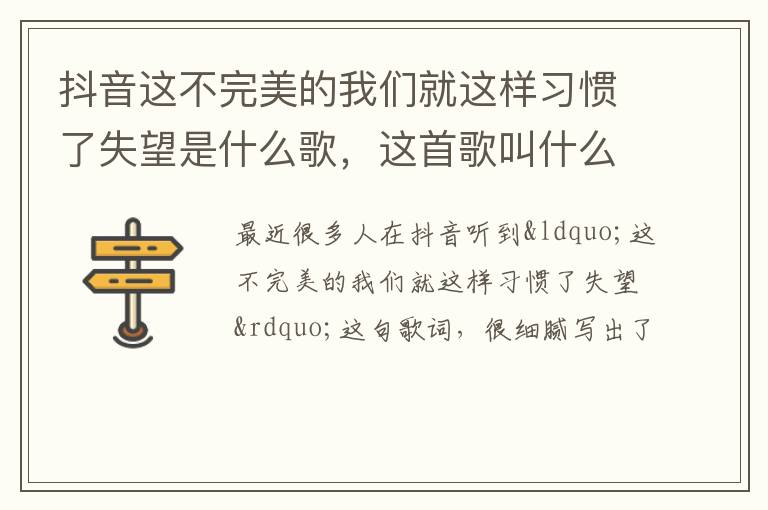 这首歌叫什么名字 抖音这不完美的我们就这样习惯了失望是什么歌
