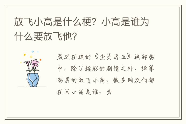 小高是谁为什么要放飞他 放飞小高是什么梗