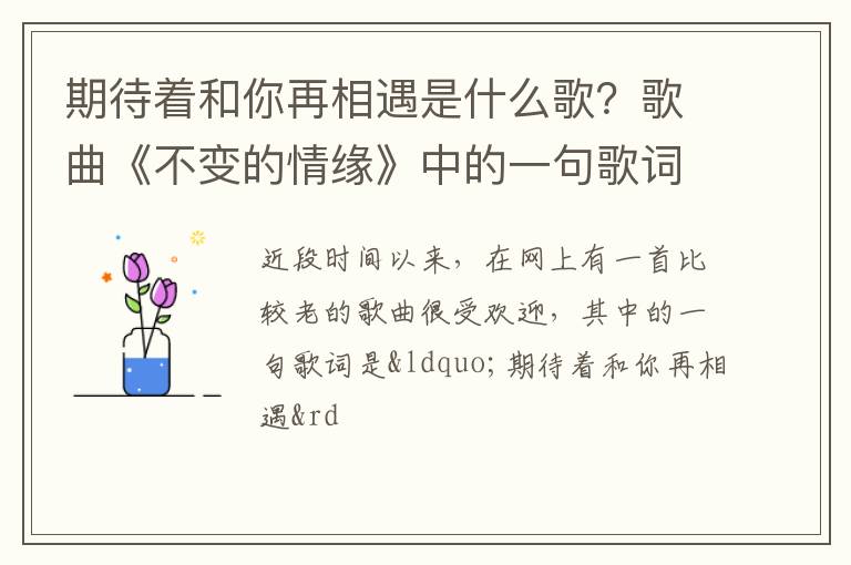 歌曲《不变的情缘》中的一句歌词 期待着和你再相遇是什么歌