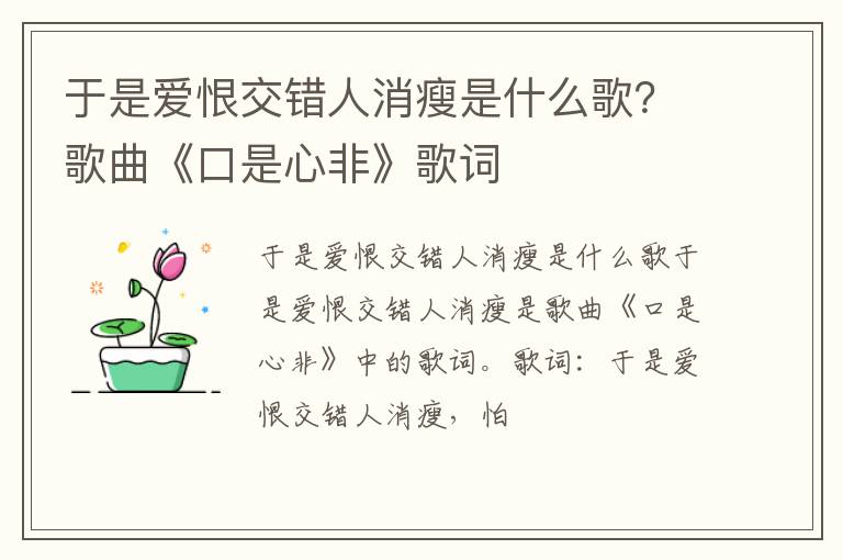 歌曲《口是心非》歌词 于是爱恨交错人消瘦是什么歌