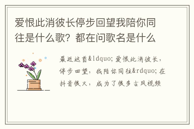 都在问歌名是什么 爱恨此消彼长停步回望我陪你同往是什么歌