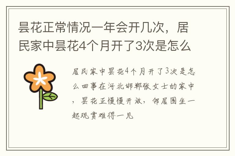 居民家中昙花4个月开了3次是怎么回事 昙花正常情况一年会开几次