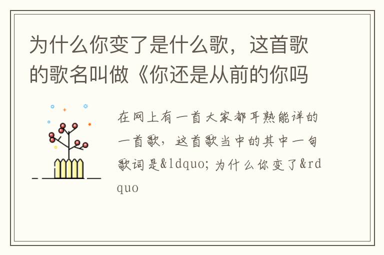 这首歌的歌名叫做《你还是从前的你吗》 为什么你变了是什么歌