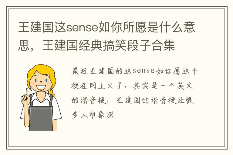 王建国经典搞笑段子合集 王建国这sense如你所愿是什么意思