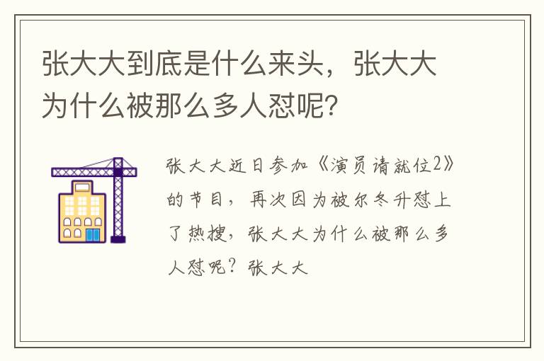 张大大为什么被那么多人怼呢 张大大到底是什么来头