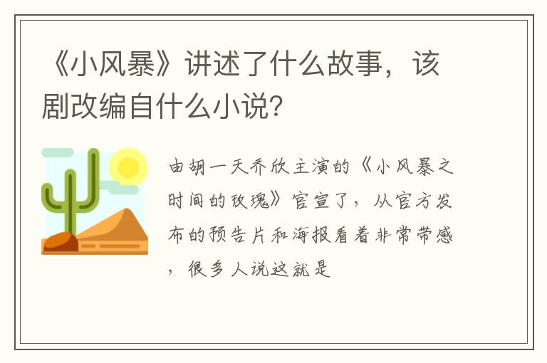 该剧改编自什么小说 《小风暴》讲述了什么故事
