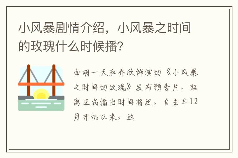 小风暴之时间的玫瑰什么时候播 小风暴剧情介绍