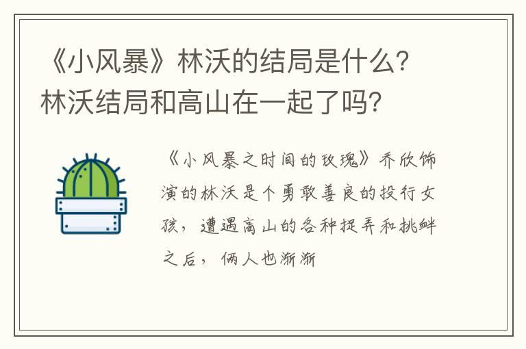 林沃结局和高山在一起了吗 《小风暴》林沃的结局是什么