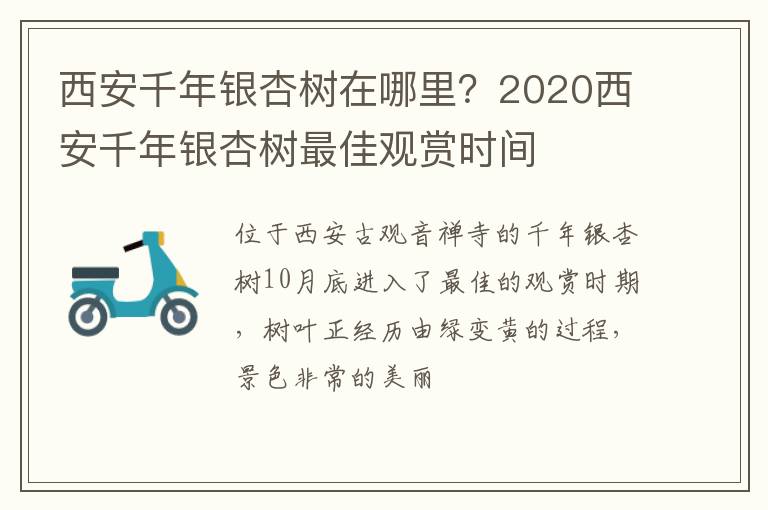 2020西安千年银杏树最佳观赏时间 西安千年银杏树在哪里