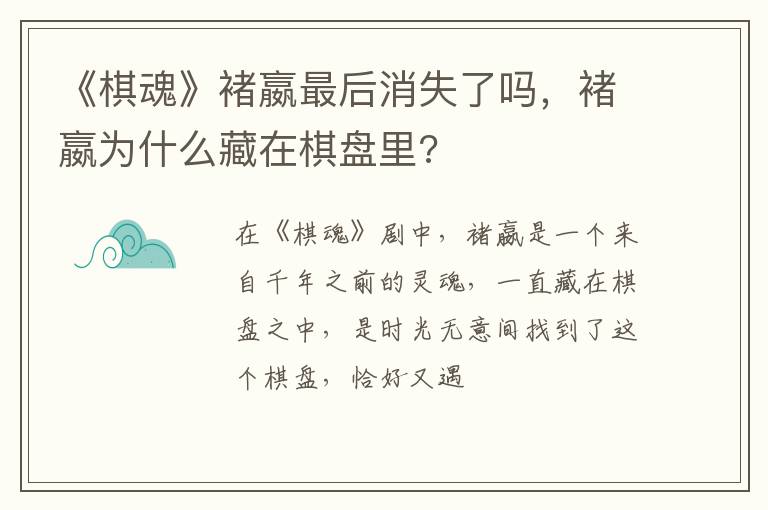 褚嬴为什么藏在棋盘里 《棋魂》褚嬴最后消失了吗