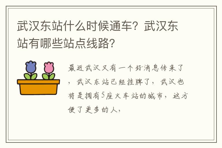 武汉东站有哪些站点线路 武汉东站什么时候通车