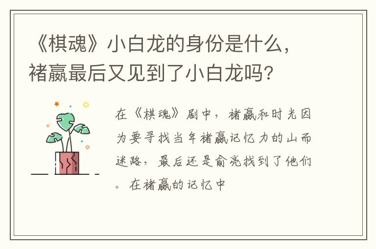 褚嬴最后又见到了小白龙吗 《棋魂》小白龙的身份是什么